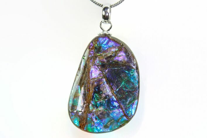 Brilliant Ammolite Pendant (Necklace) - Alberta, Canada #296083